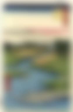 Fishing village of Nekozane at Horie (preview)
