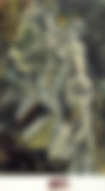 Nu descendant un escalier (preview)