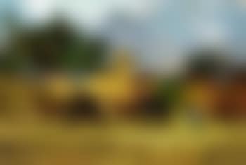Carts (preview)
