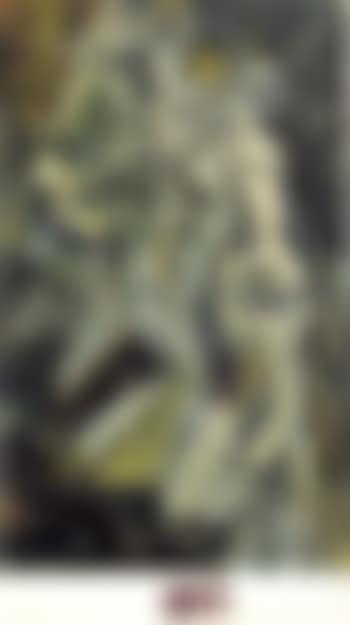 Nu descendant un escalier (preview)