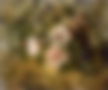 Bouquet de pivoines (preview)