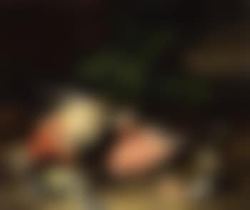 Nature mortes aux oiseaux (preview)