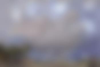 Le port de Honfleur (preview)