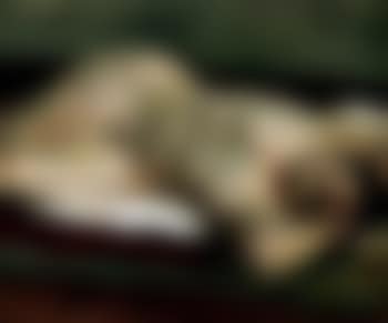 Nu couche (preview)