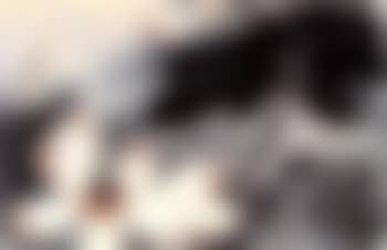 Lotus (preview)