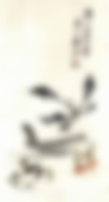 Vegetables (preview)