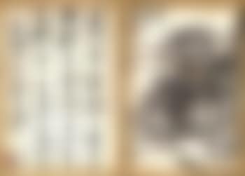 Landscapes, calligraphy (preview)