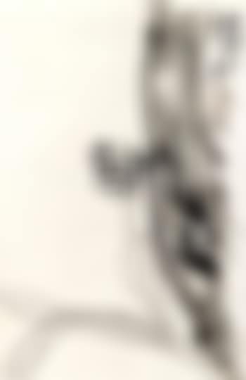 Narcissus (preview)
