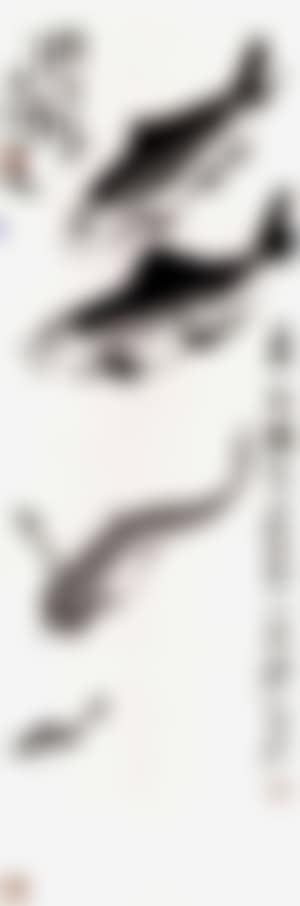 Fish (preview)