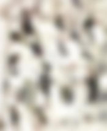 Cascade verticale (preview)