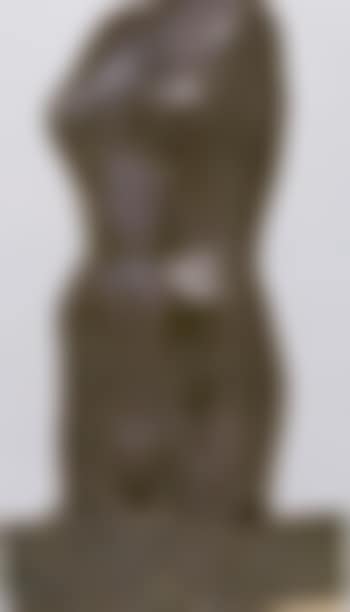 Female torso (preview)