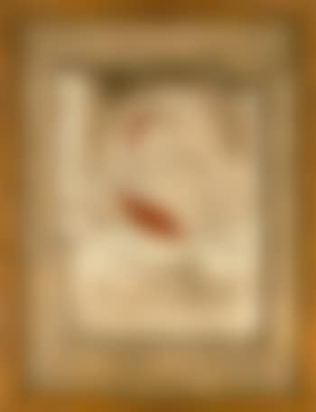 Still life (preview)