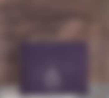 The shiek (preview)