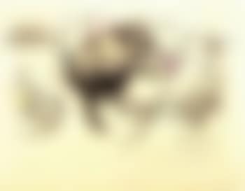 The bracelet (preview)
