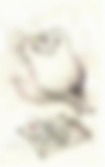 A satiated cat (preview)