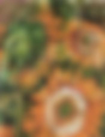 Sunflowers 5 (preview)