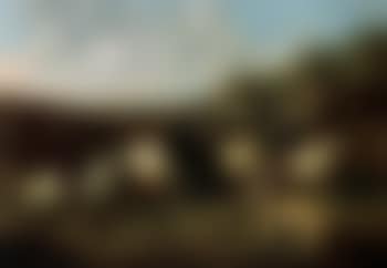 Shepherd and herd (preview)