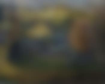 Vue de Ramatuelle (preview)