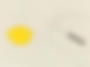 Lemon, plate and knife (preview)