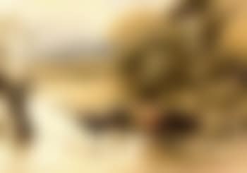 Cattle crossing a stream (preview)