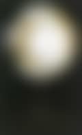 Untitled/ (preview)