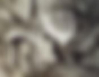 Tananarive (preview)