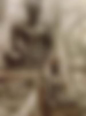 Bouddhas (preview)