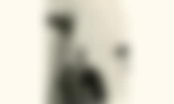 Biche (preview)