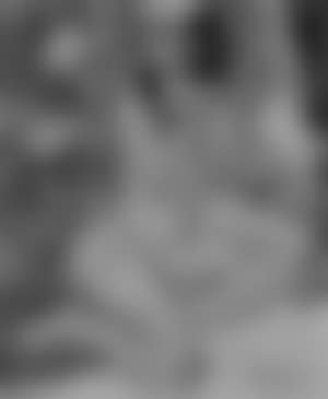 Seated nude in a garden (preview)