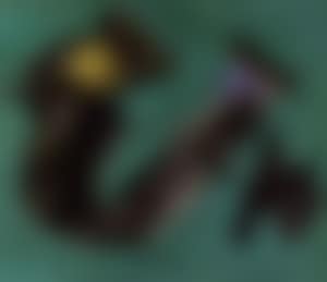 Abstract (preview)