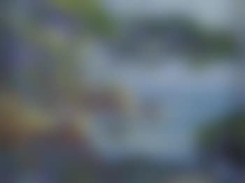 Paysage (preview)