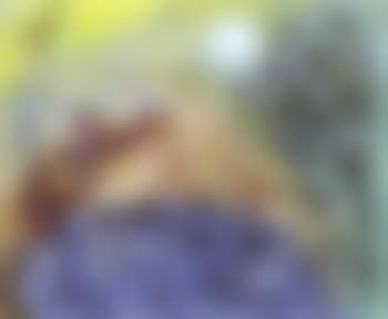 Visite de l'ange (preview)