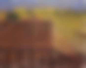 Shadow on the field (preview)