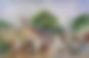 Parade devant la mosquee (preview)