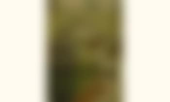 Paysage d'hiver (preview)