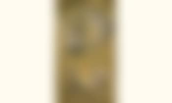 Nature morte (preview)