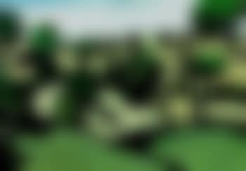 Landscape (preview)