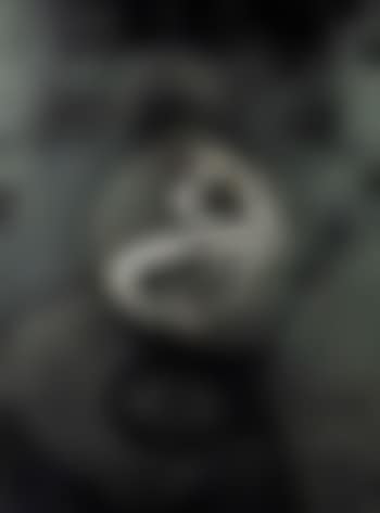 Untitled (preview)