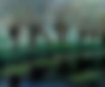 Riviere (preview)