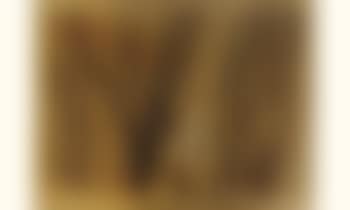 P1954-HH3224 (preview)