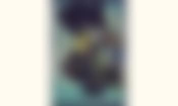 Composition (preview)