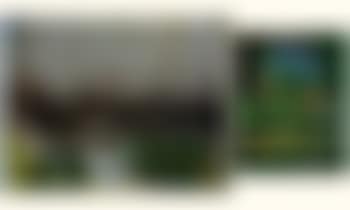 Truite et grenouille (preview)