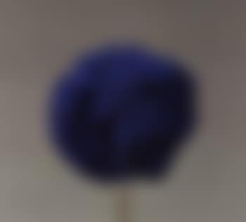 Sponge (preview)