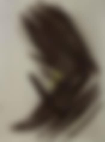 T1959 (preview)