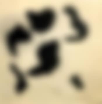 Papier dechire (preview)