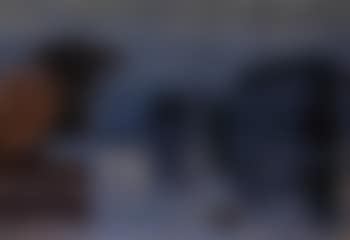 Zurich (preview)