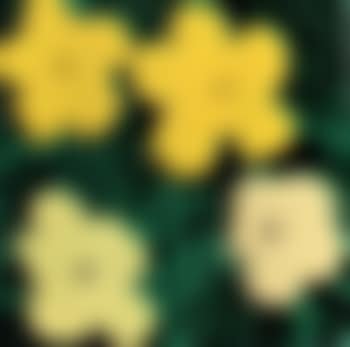 Flowers (preview)