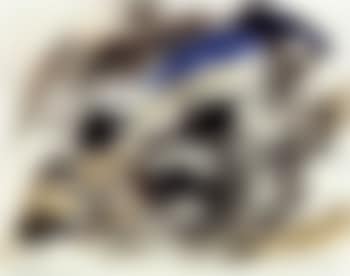 Untitled (preview)