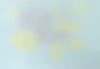 Untitled - Yellow and pink (preview)