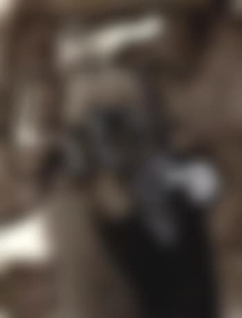 Whistle (preview)